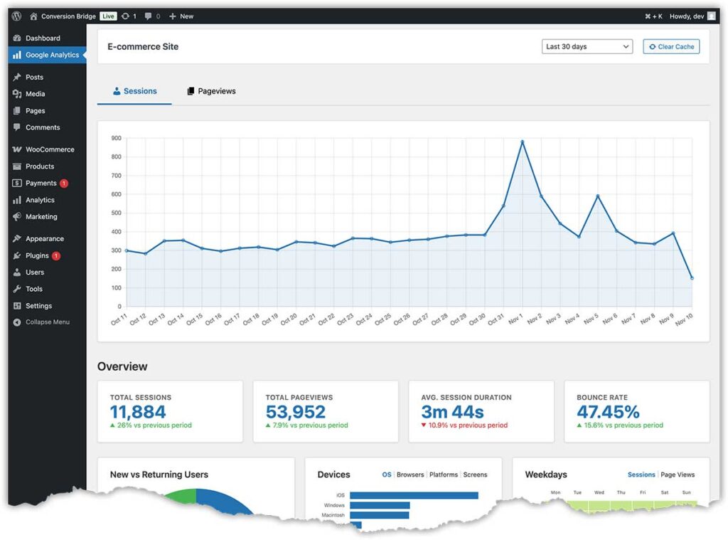Google Analytics dashboard inside WordPress admin.