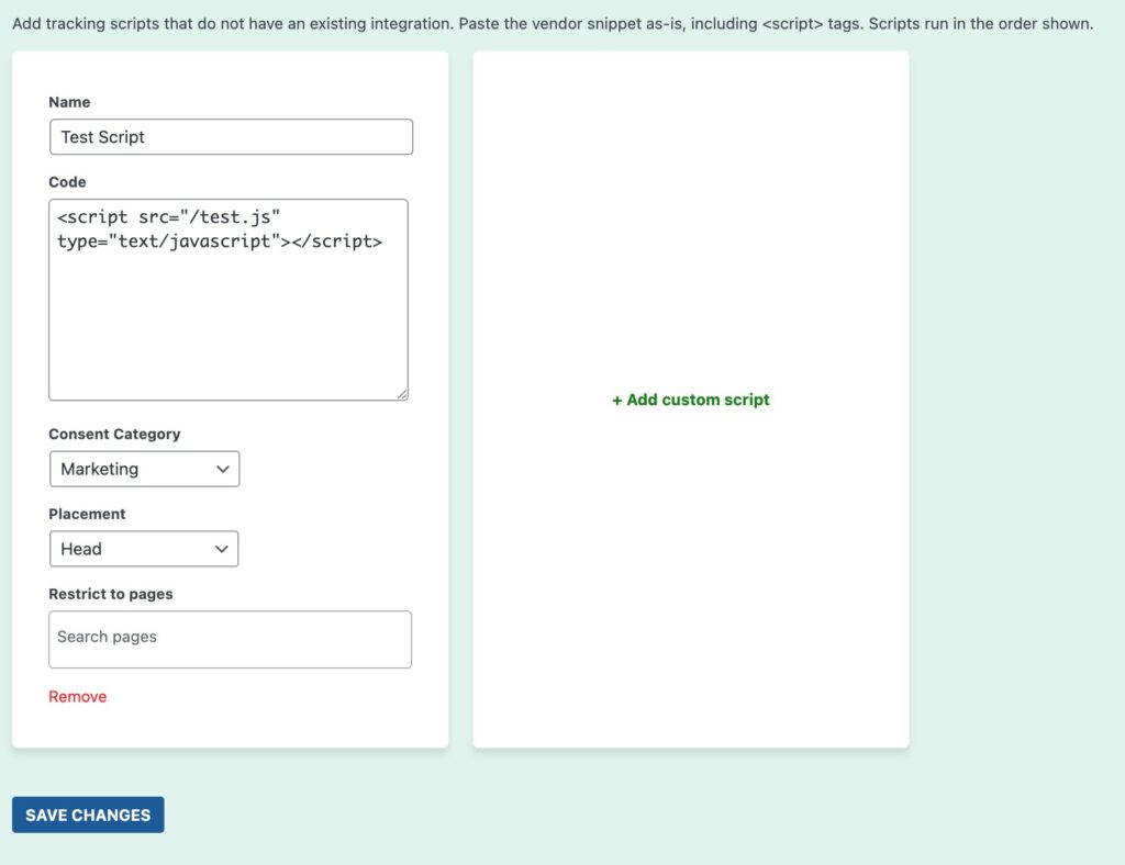 Custom tracking scripts settings page in Conversion Bridge