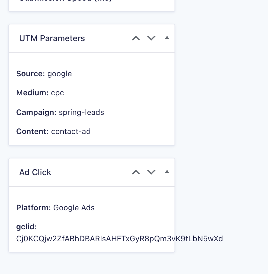 UTM Parameters and Ad Click boxes on a Gravity Forms entry showing the campaign source and Google Ads click ID